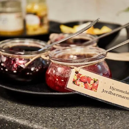 Danhostel Хостел